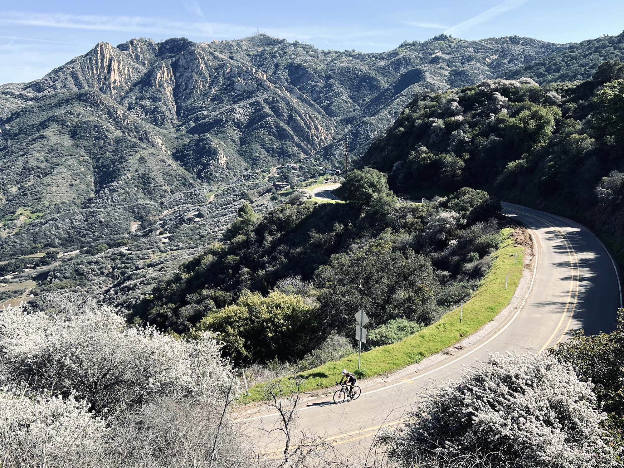 Riding a road bike around Santa Monica CA